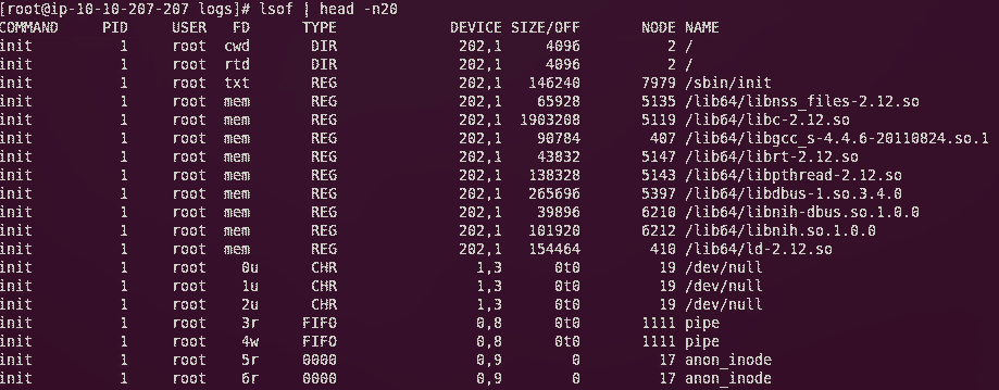 Linux lsof 命令使用詳細說明