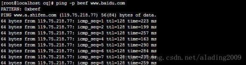 linux ping命令的幾個簡單使用方法