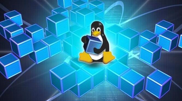 如何優化VMware Linux虛擬機的性能？