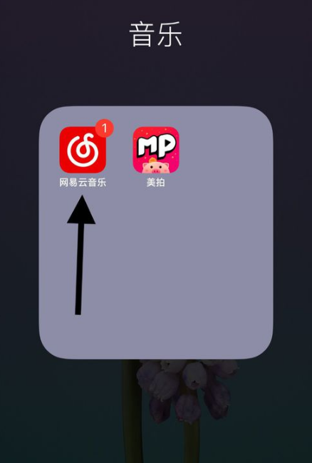 網易云歌詞翻譯不顯示怎么回事 如何開啟網易云歌詞翻譯