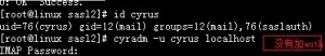 Linux系統(tǒng)下安裝配置postfix郵件服務器的教程