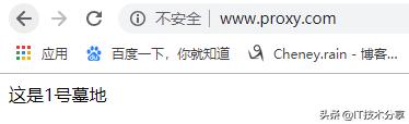 Nginx配置反向代理，負載均衡實戰解析流程