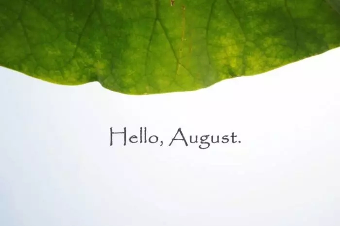 8月你好圖片大全2019無水印 朋友圈八月你好唯美配圖帶字