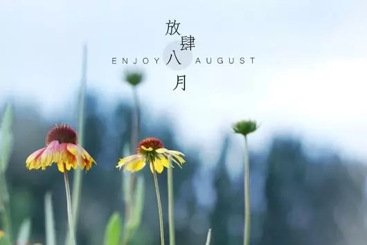 8月你好圖片大全2019無水印 朋友圈八月你好唯美配圖帶字
