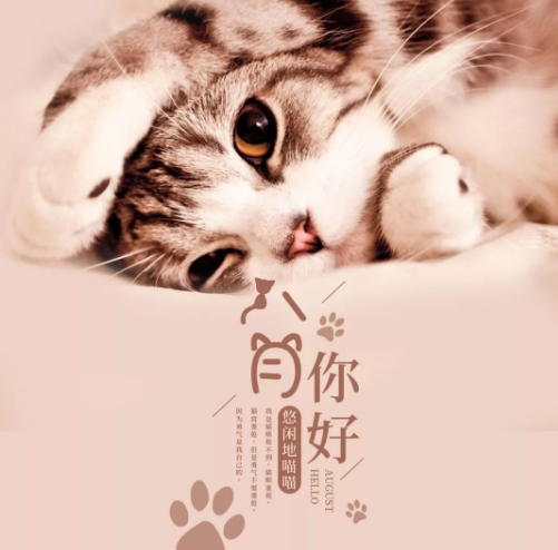 8月你好圖片大全2019無水印 朋友圈八月你好唯美配圖帶字