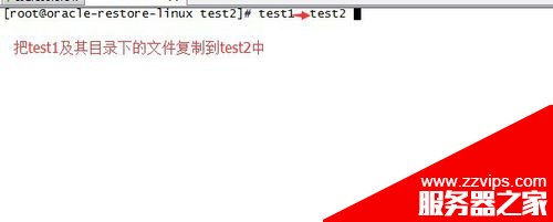 Linux系統怎么復制文件夾下的全部文件到另外文件夾？