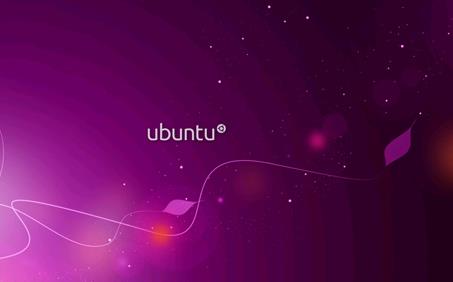 Ubuntu使用集成開發(fā)環(huán)境QT無法輸入中文的解決方法