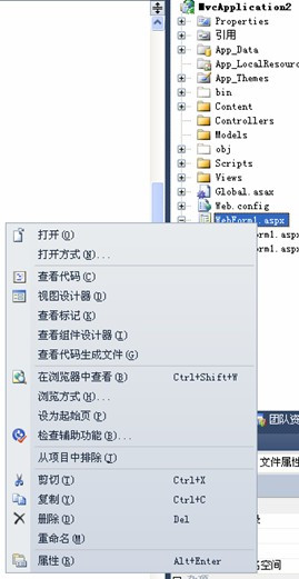 VS2010、VS2008等項目的默認瀏覽器修改方法(圖文)