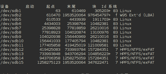 如何在RAID軟磁盤陣列上搭建linux系統
