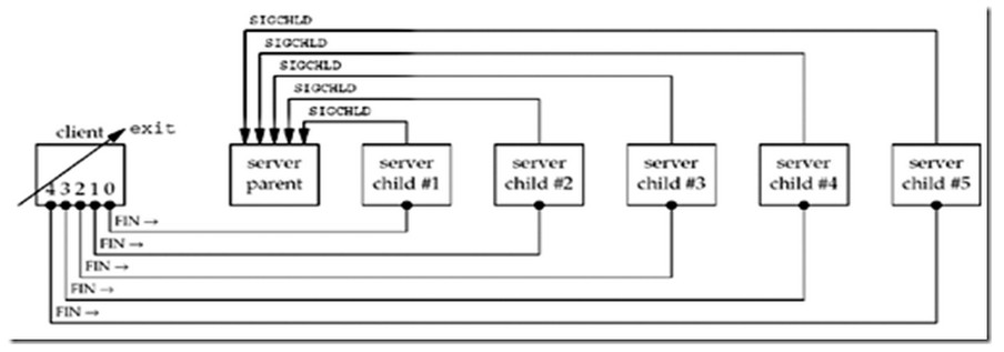 Linux網(wǎng)絡(luò)編程wait()和waitpid()的講解 Linux網(wǎng)絡(luò)編程wait()和waitpid()的講解