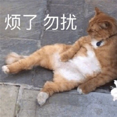 一臉冷漠表情包圖片 冷漠的聊天表情包大全