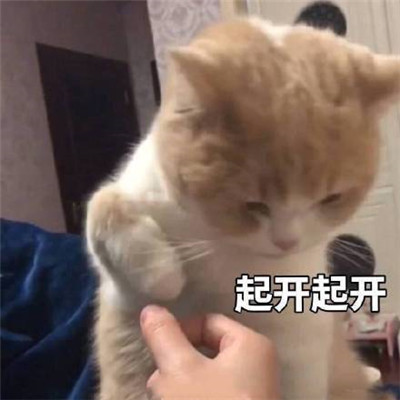 一臉冷漠表情包圖片 冷漠的聊天表情包大全