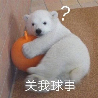 一臉冷漠表情包圖片 冷漠的聊天表情包大全