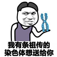 最新斗圖污表情包 手機表情包太污斗圖專用