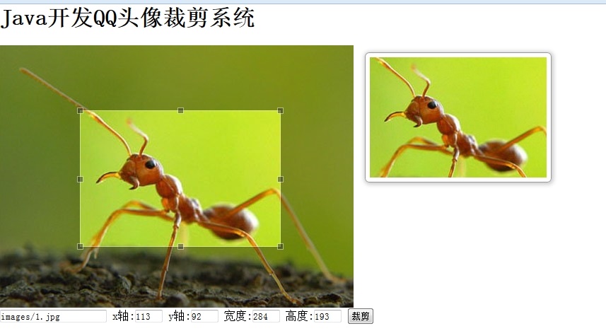 Java如何實現圖片裁剪預覽功能