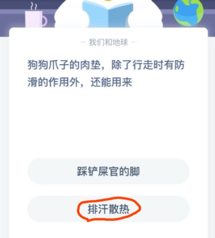 狗狗爪子的肉墊，除了行走時有防滑的作用外，還能用來？