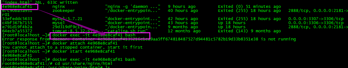 centos7 docker 修改Nginx文件過程詳解