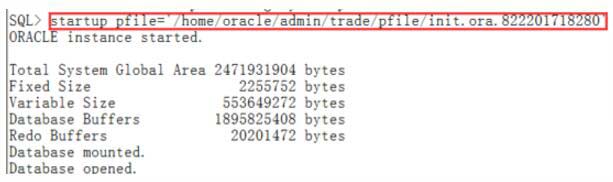Oracle實例啟動時報錯：ORA-32004的解決方法
