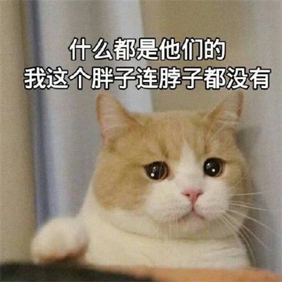 長胖的表情包可愛 抖音長胖表情包搞笑圖片