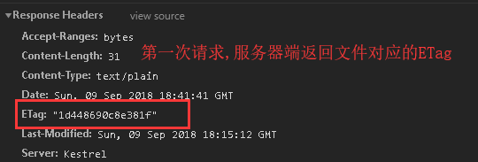.Net Core中間件之靜態(tài)文件(StaticFiles)示例詳解