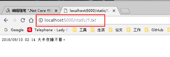 .Net Core中間件之靜態(tài)文件(StaticFiles)示例詳解