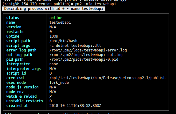 如何使用pm2守護你的.NET Core應用程序詳解