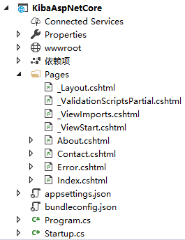 Asp.Net Core Web應用程序—探索