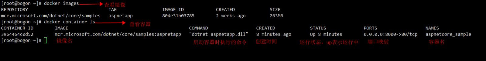 docker部署Asp.net core應用的完整步驟