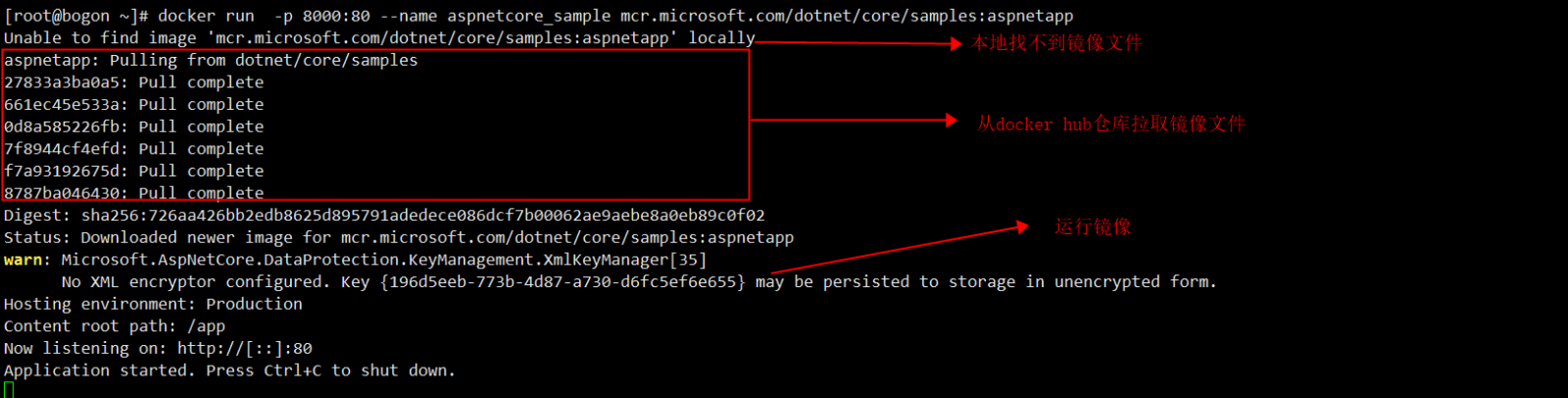 docker部署Asp.net core應用的完整步驟
