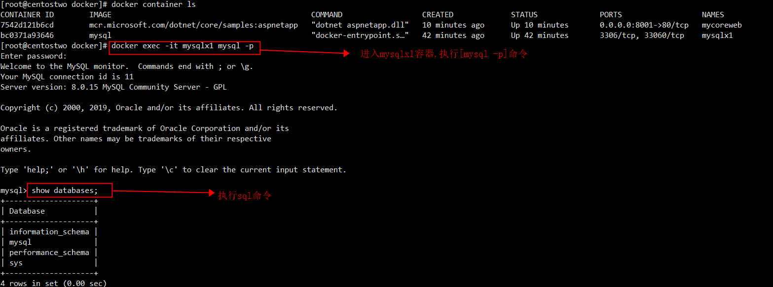 docker部署Asp.net core應用的完整步驟