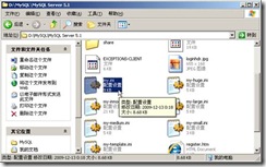 Windows下MySQL安裝配置方法圖文教程