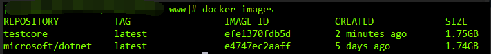 Linux服務器下利用Docker部署.net Core項目的全過程
