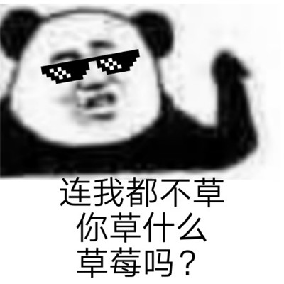 連我消息都不回你回什么系列表情包 拽拽的熊貓頭聊天表情包
