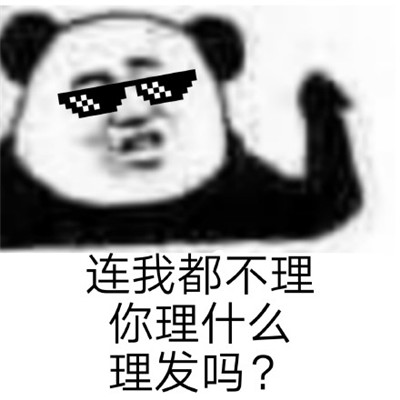連我消息都不回你回什么系列表情包 拽拽的熊貓頭聊天表情包