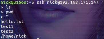 詳解SSH 遠程執行任務的方法
