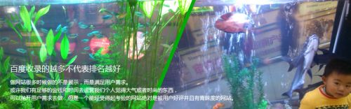 百度收錄的越多并不代表排名越好