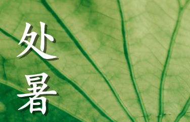 2020處暑節氣手機壁紙清新風 處暑風景壁紙自然風光