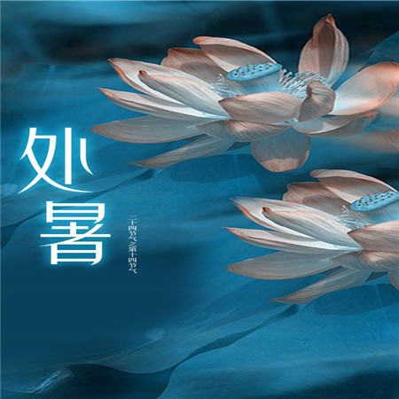 秋季養生日記之處暑 朋友圈的處暑背景圖來了