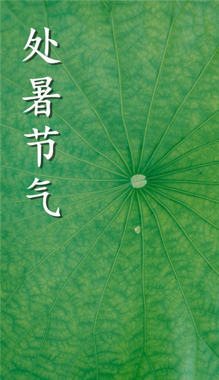 2020處暑節氣手機壁紙清新風 處暑風景壁紙自然風光