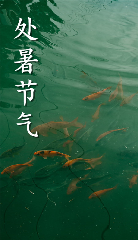 2020處暑節氣手機壁紙清新風 處暑風景壁紙自然風光