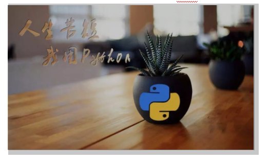 Python和C語言先學哪個好？