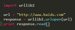 Python快速上手爬蟲的7大技巧