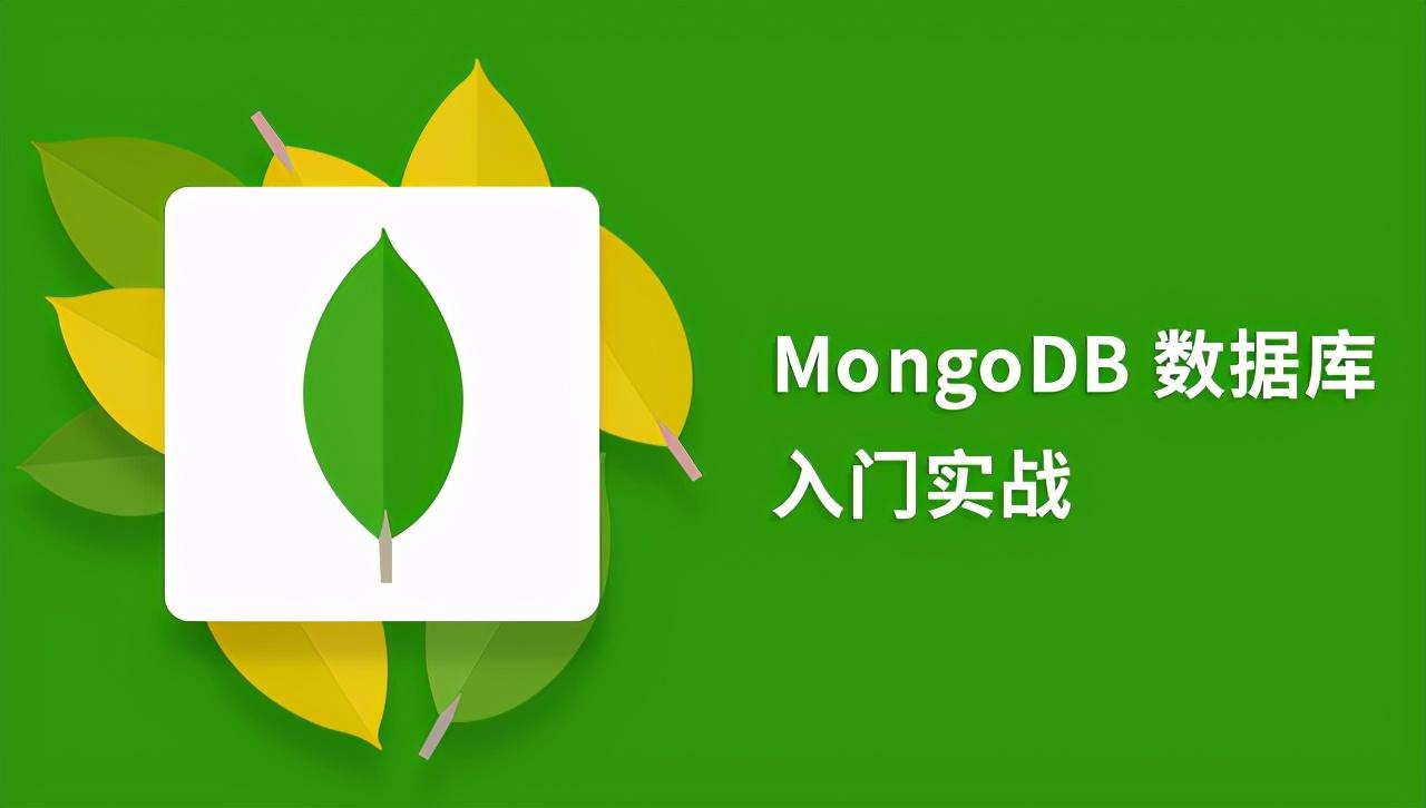 自學(xué)大數(shù)據(jù)，給IT新手的7個MongoDB實(shí)戰(zhàn)項(xiàng)目