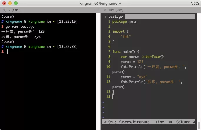 Python的isinstance在Golang里面叫什么？