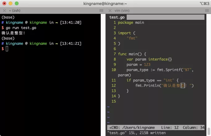 Python的isinstance在Golang里面叫什么？