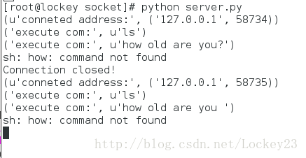 Python網絡編程 Python套接字編程