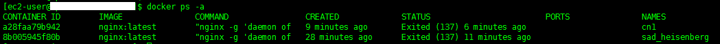 docker快速入門教程