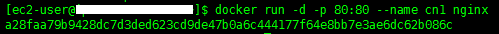 docker快速入門教程