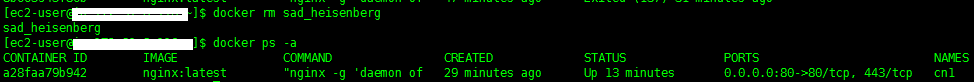 docker快速入門教程