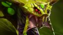DOTA2永霧林淵7.28更新日志 DOTA2永霧林淵英雄改動及阿哈利姆魔晶技能一覽